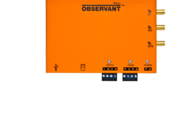 Observant-Pico